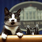 CommunityMemberc36f89's avatar image