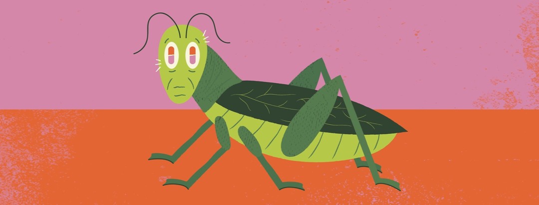 a grasshopper with pills for restless legs syndrome in its eyes