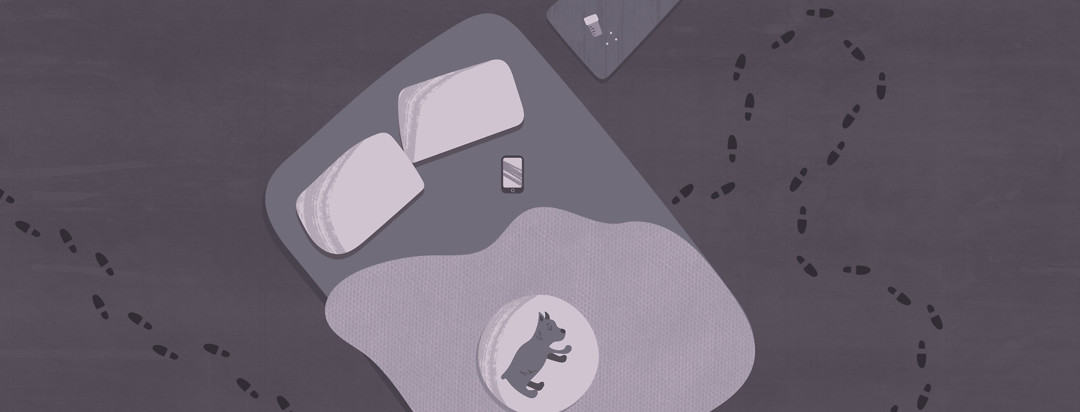 a bedroom with footprints all over the room, a dog sleeping on the bed, a cellphone, and medication on the nightstand