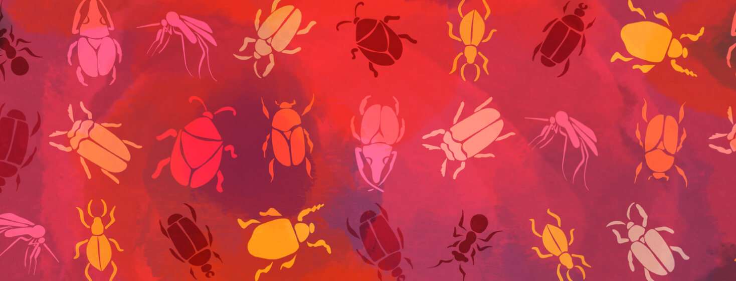A pattern of different types of bugs